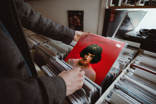 Life is just a temporary plan VINYL